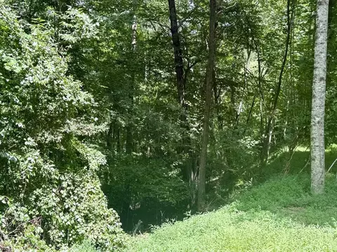 lot6 Wild Laurel, Brasstown, NC 28902