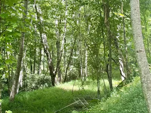 lot7 Wild Laurel, Brasstown, NC 28902