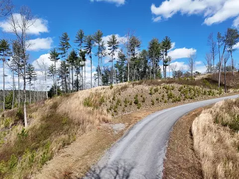 lot253 High River Xing, Ellijay, GA 30540