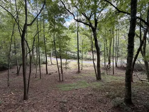 lot133 Seneca Dr, Ellijay, GA 30540