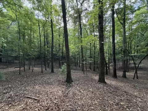 lot556 Satsuma Ct, Ellijay, GA 30540
