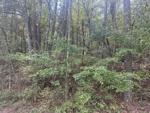 0 Carver Mill Rd, Talking Rock, GA 30175
