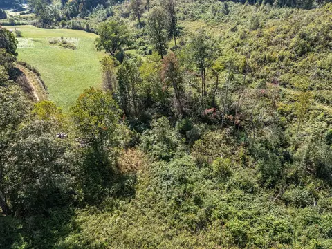 View/Area - 1600 Cook Creek Rd, Murphy, NC 28906 photo 9 of 9