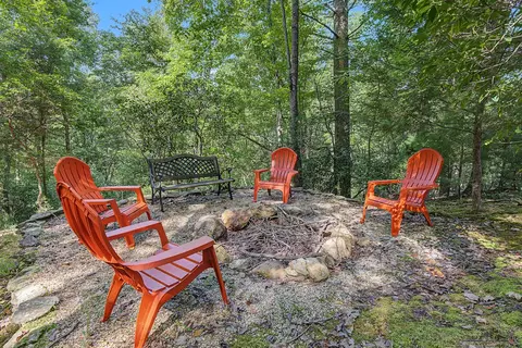 Exterior - 66 Windy Hill Dr, Cherry Log, GA 30522 photo 4 of 9