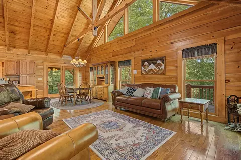 Living - 66 Windy Hill Dr, Cherry Log, GA 30522 photo 3 of 3