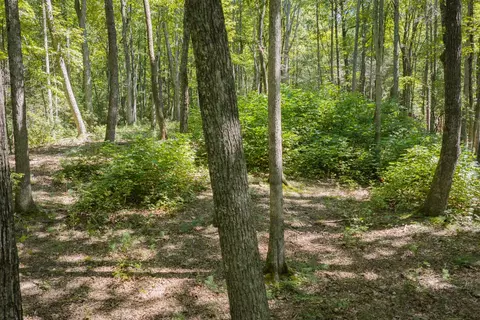 Other - 66 Windy Hill Dr, Cherry Log, GA 30522 photo 9 of 9