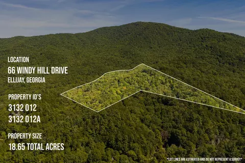 View/Area - 66 Windy Hill Dr, Cherry Log, GA 30522 photo 1 of 1