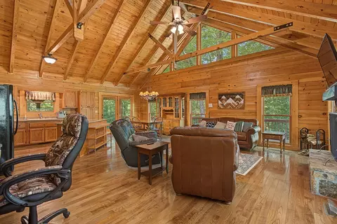 Living - 66 Windy Hill Dr, Cherry Log, GA 30522 photo 2 of 3
