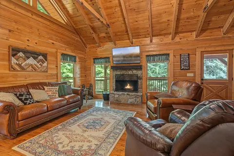 Living - 66 Windy Hill Dr, Cherry Log, GA 30522 photo 1 of 3