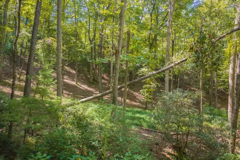 Exterior - 66 Windy Hill Dr, Cherry Log, GA 30522 photo 9 of 9