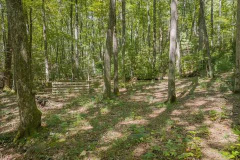 Exterior - 66 Windy Hill Dr, Cherry Log, GA 30522 photo 8 of 9