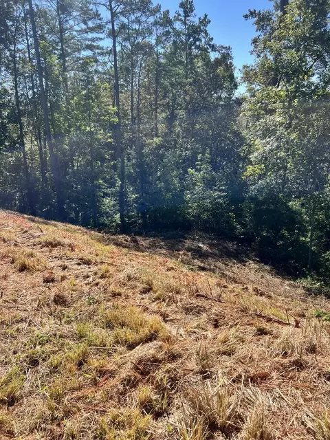 lot229 Woodstone Trl, Ellijay, GA 30540