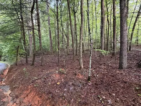 0 Peach Ln, Ellijay, GA 30536