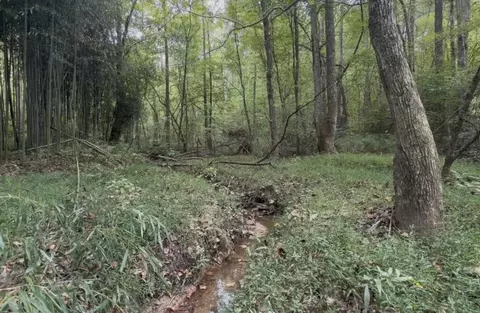 4 Ikes Circle, Ellijay, GA 30536