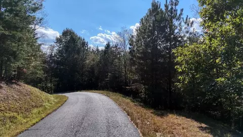 lot83 Tree Line Dr, Blairsville, GA 30512