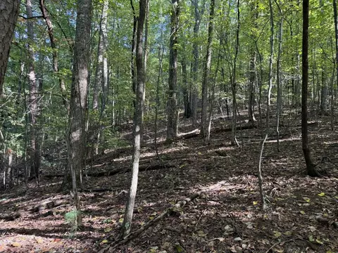 J349 Mountainview Court, Ellijay, GA 30540