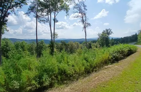 lot23 Mountain Laurel Rdg, Mineral Bluff, GA 30559