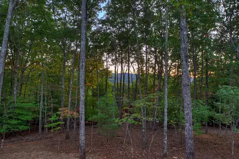 Other - 357 Spring Ridge Trl, Morganton, GA 30560 photo 3 of 11