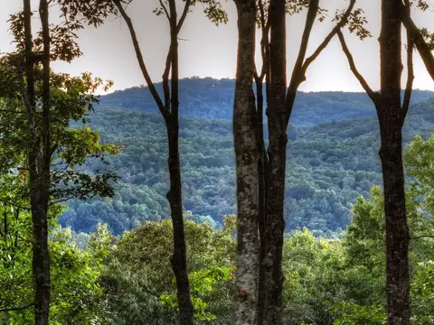 Other - 357 Spring Ridge Trl, Morganton, GA 30560 photo 11 of 11
