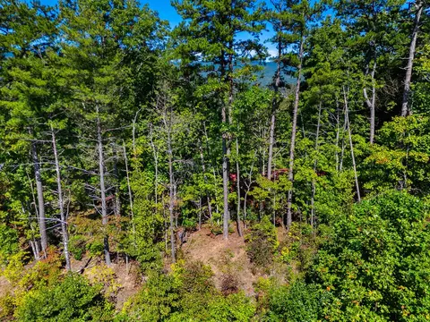 View/Area - 643 Zekes Trl, Marble, NC 28905 photo 1 of 4