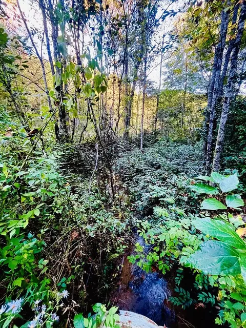 1885 Flea Mountain Rd, Murphy, NC 28906 photo 8
