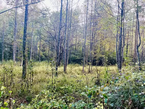 1885 Flea Mountain Rd, Murphy, NC 28906 photo 13
