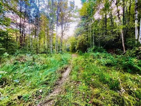 1885 Flea Mountain Rd, Murphy, NC 28906 photo 2
