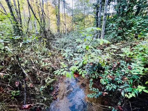 1885 Flea Mountain Rd, Murphy, NC 28906 photo 9