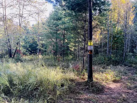 1885 Flea Mountain Rd, Murphy, NC 28906 photo 3