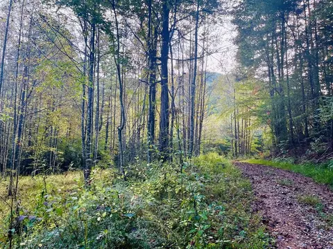 1885 Flea Mountain Rd, Murphy, NC 28906 photo 15