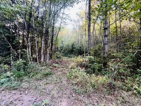 1885 Flea Mountain Rd, Murphy, NC 28906 photo 10