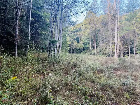 1798 Flea Mountain Rd, Murphy, NC 28906 photo 2