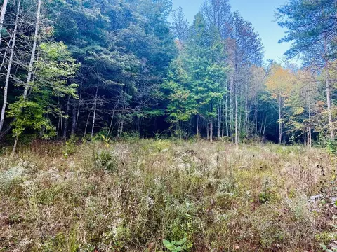 1798 Flea Mountain Rd, Murphy, NC 28906 photo 4
