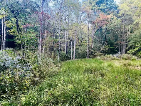 1798 Flea Mountain Rd, Murphy, NC 28906 photo 5