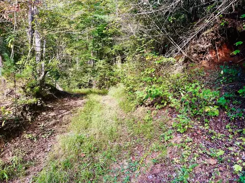 1798 Flea Mountain Rd, Murphy, NC 28906 photo 6