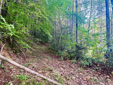 1798 Flea Mountain Rd, Murphy, NC 28906 photo 3