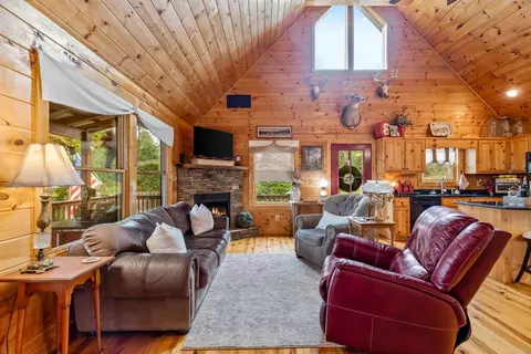 Living - 140 Carolina Fox Cir, Murphy, NC 28906 photo 2 of 3