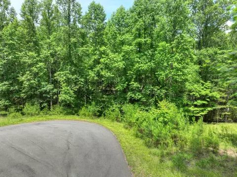 lot132 Fox Cove Rd, Blairsville, GA 30512