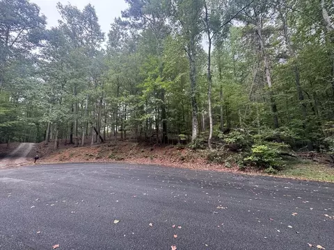 Lt45 Ayers Rock, Jasper, GA 30175 photo 5