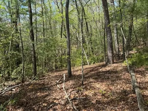 lot9 Marjorie Ave, Ellijay, GA 30536