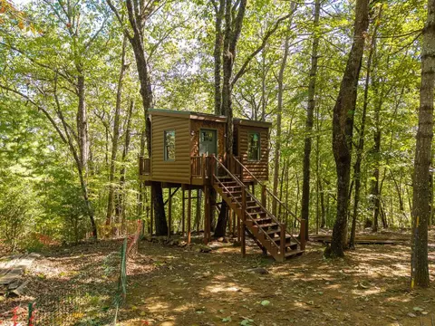 2223 Abbott Mill Rd, Ellijay, GA 30540