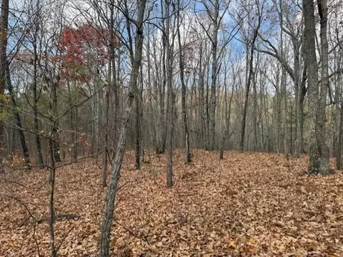 0 John Call Rd, Talking Rock, GA 30175 photo 11