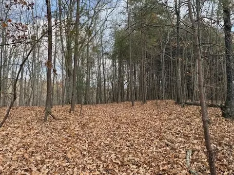 0 John Call Rd, Talking Rock, GA 30175 photo 12