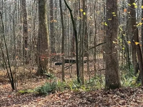0 John Call Rd, Talking Rock, GA 30175 photo 6
