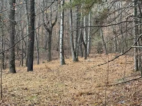 0 John Call Rd, Talking Rock, GA 30175 photo 8