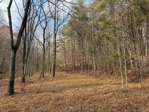 0 John Call Rd, Talking Rock, GA 30175 photo 10