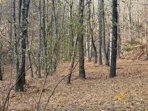 0 John Call Rd, Talking Rock, GA 30175 photo 9