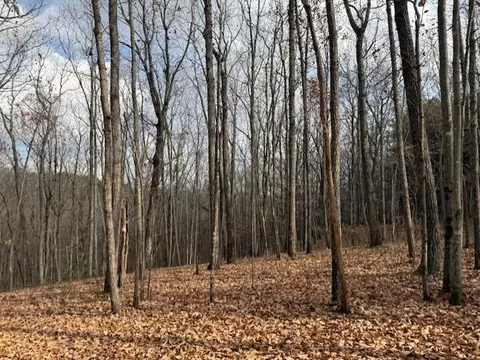 0 John Call Rd, Talking Rock, GA 30175 photo 13