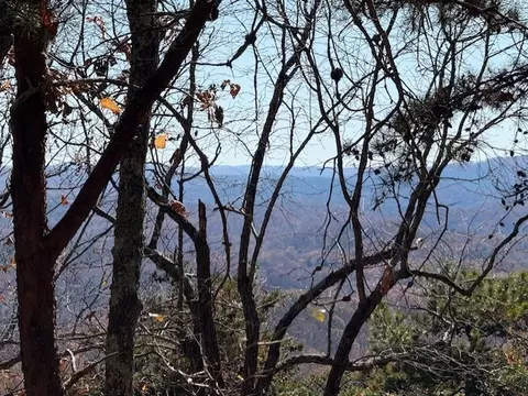 0 John Call Rd, Talking Rock, GA 30175 photo 2