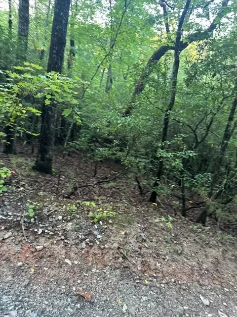 lot S 34 Amicalola Woods Rd, Dawsonville, GA 30534